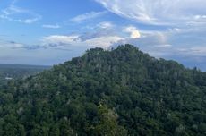 Cara Menuju ke Bukit Tangkiling Kalimantan Tengah