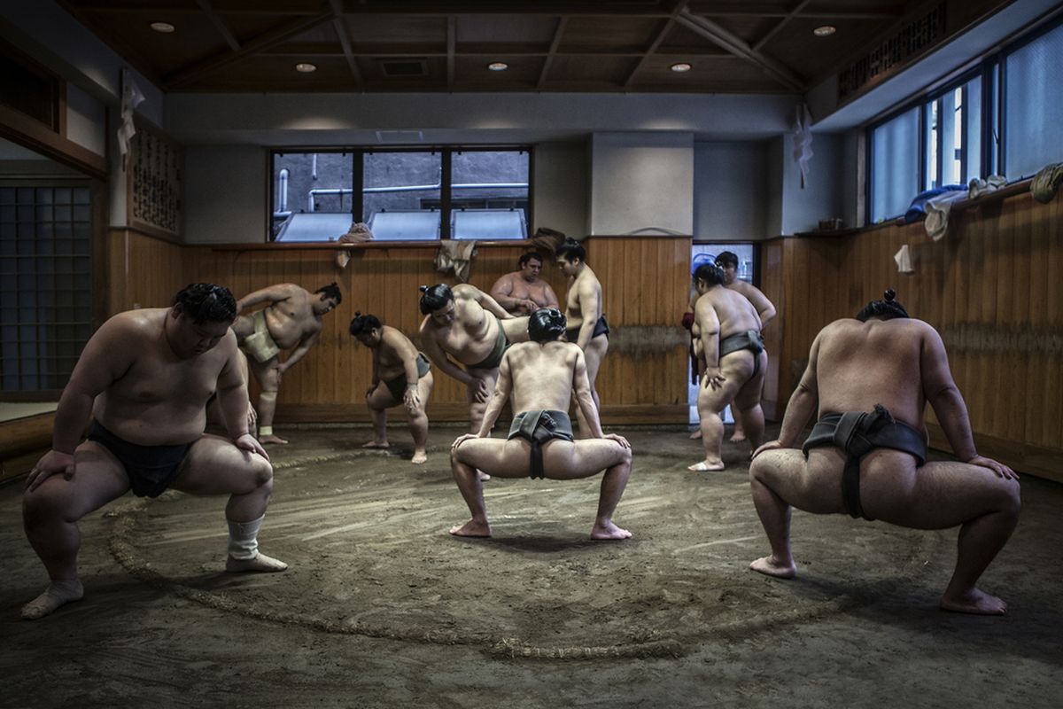 Ilustrasi latihan sumo