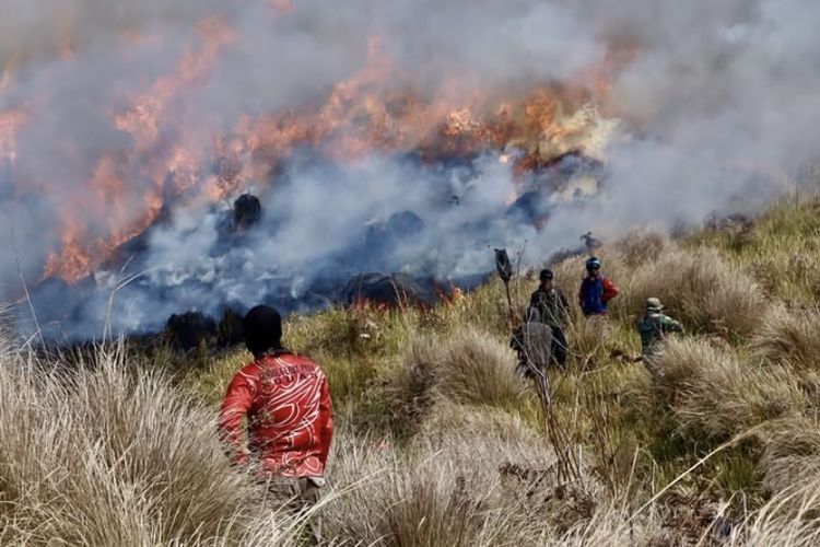 Kebakaran TNBTS, Pendakian Gunung Semeru Ditutup Total, Pengunjung Dievakuasi