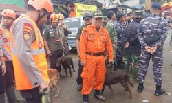 Tunjukkan Solidaritas, Pemkot Semarang Kerahkan Tim K9 untuk Evakuasi Korban Banjir dan Longsor Pekalongan 