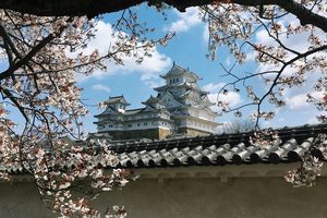 Jepang Akan Naikkan Biaya Izin Tinggal Warga Asing