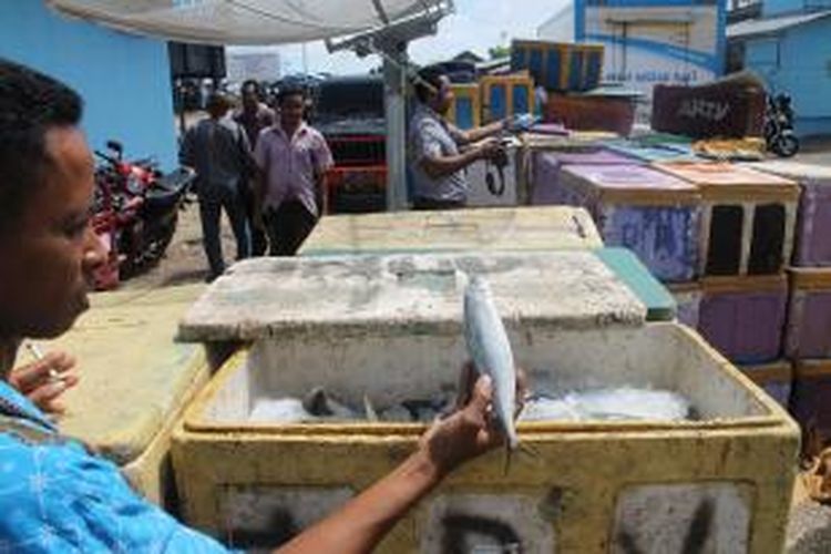Sebanyak 12 ton Ikan mengandung formalin asal Kabupaten Flores Timur dan Kabupaten Lembata, sedang diamankan di Tempat Pendaratan Ikan (TPI) Oeba, Kota Kupang, Kamis (29/1/2015)