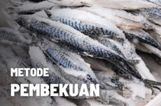 Metode Pembekuan: Pengertian, Kelebihan dan Kekurangannya 