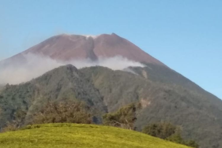 Asap tebal terlihat mengepul dari kawasan hutan lereng Gunung Slamet sebelah barat.