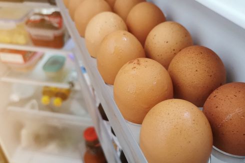 Berapa Lama Masa Simpan Telur Ayam?