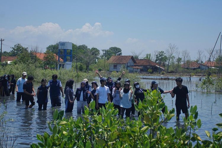 Wasito bersama mahasiswa saat melakukan penanaman mangrove. KOMPAS.COM/DOK.PRIBADI