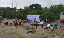 PIS Tanam 1.500 Mangrove di Batam untuk Jaga Ekosistem Laut
