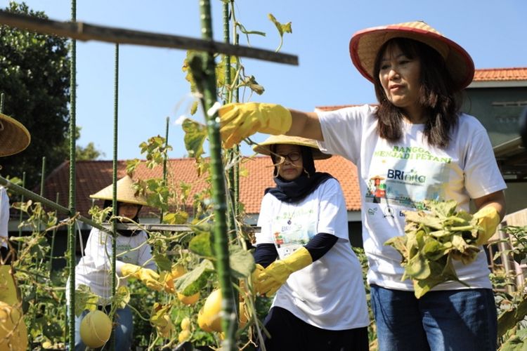 BRI menyelenggarakan program BRI Bertani di Kota (BRInita) untuk memberdayakan perempuan dengan membuat ekosistem urban farming yang berkelanjutan.