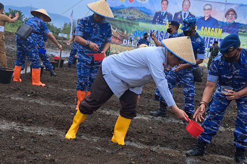 Wamentan dan Kasau Tanam Sorgum di Lanud Sutan Sjahrir, Padang