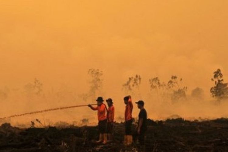 Petugas SAR Direktorat Sabhara Polda Jambi memadamkan kebakaran lahan gambut milik salah satu perusahaan di Puding, Kumpeh Ilir, Muarojambi, Jambi, Rabu (11/09). 
