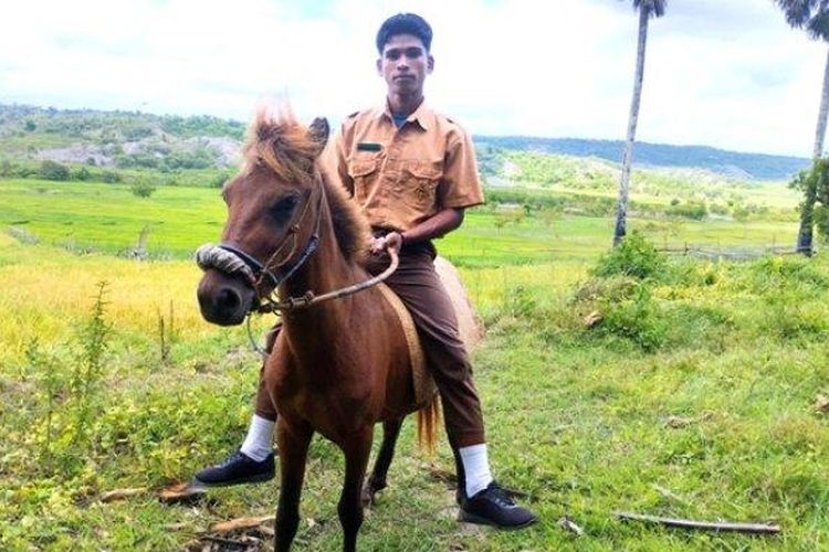 TUNGGANG KUDA - Siswa SMAN 1 Rote Barat Daya, Rio Jonatan Adu menunggangi kudanya di dekat ladang sawah, Desa Dalek Esa, Kecamatan Rote Barat Daya, Kabupaten Rote Ndao. Sabtu, 04 Maret 2023. 
