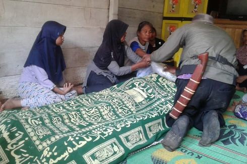 Hasil Investigasi, Petani yang Tewas di Lahat akibat Diterkam Harimau