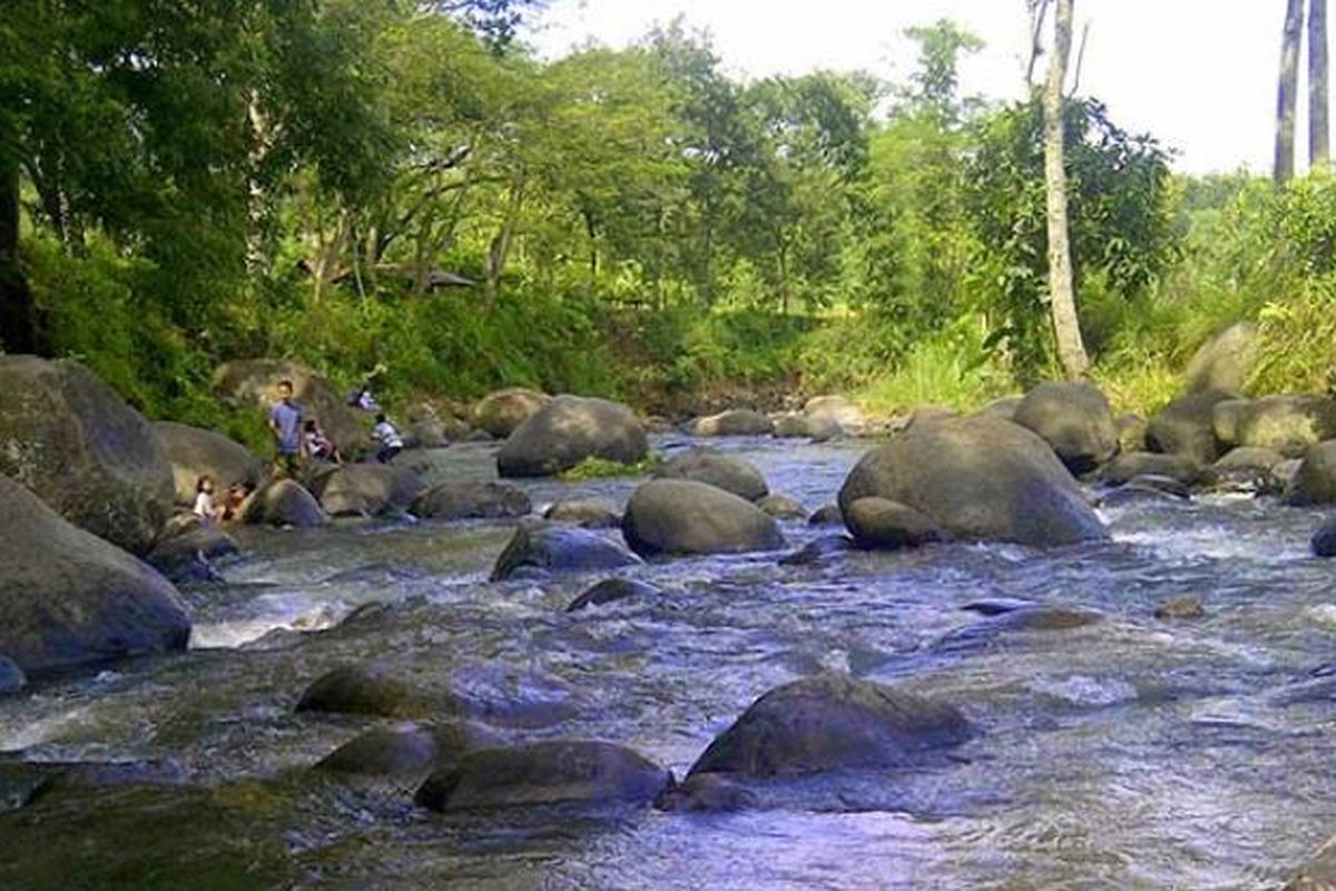 Wana Wisata Grape adalah tempat rekreasi di tepi hutan jati di Madiun, Jawa Timur.