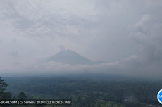 Gunung Semeru Erupsi, Keluarkan Kolom Abu Setinggi 600 Meter