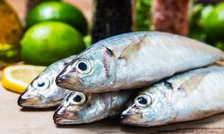 Bappenas: Mengonsumsi Ikan Lebih Ramah Lingkungan ketimbang Hewan Ruminansia