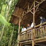 Menkop UKM Optimistis Hutan Bambu di Cisarua Ini Bisa Tarik Minat Masyarakat