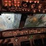 Boeing 737 Tabrak Kawanan Burung Saat Akan Mendarat, Bangkai dan Darah Berceceran di Bodi Pesawat