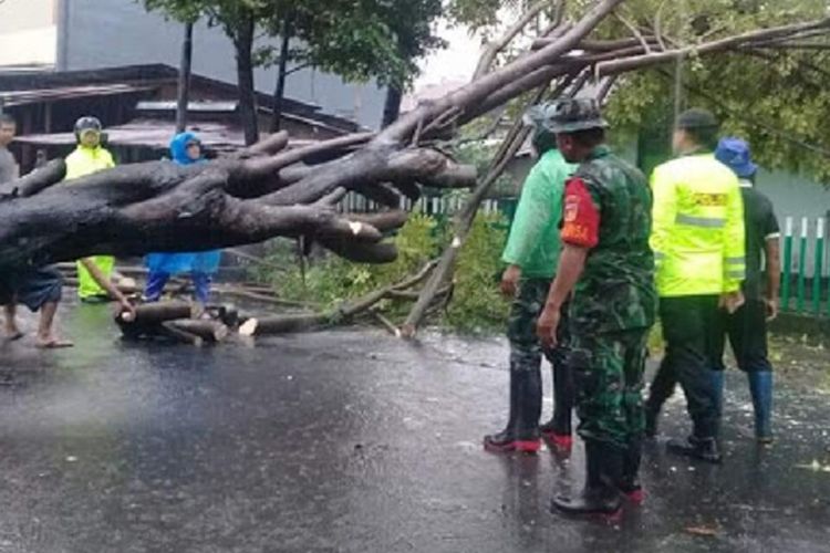 Cuaca ekstrem di Sulawesi Utara membuat beberapa wilayah terkena banjir dan longsor.