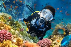 Tren Scuba Diving di Surabaya, Simak Sertifikasi dan Daya Tariknya
