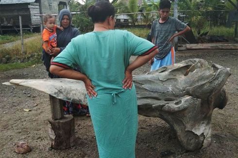 Geger Temuan Tulang Berukuran Raksasa, Diangkat dengan Ekskavator