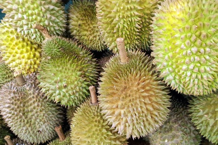 Ilustrasi buah durian. 