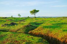 6 Fakta Kupang, Ibu Kota NTT Berjuluk 