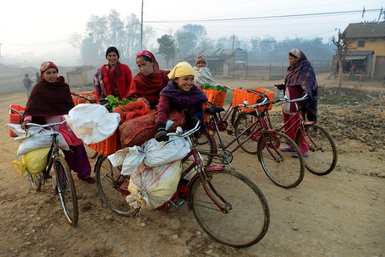 Sejumlah perempuan Nepal mengangkut sayuran menggunakan sepeda untuk kemudian di jual di pasar di Birendranagar, distrik Surkhet.