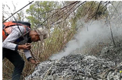 Karhutla Gunung Sumbing Wilayah Magelang Sudah Padam, Total Lahan Terdampak 213,4 Hektar