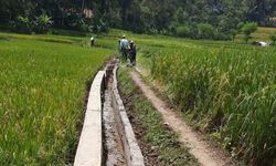 Kekeringan Melanda Sukabumi, Petani di Sana Diimbau Mentan Ikuti Asuransi 