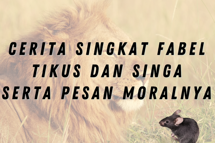 Berikut merupakan cerita singkat mengenai Tikus dan Singa yang ditulis dengan bahasa sendiri. Pesan moral yang didapatkan dapat dilihat pada ulasan.