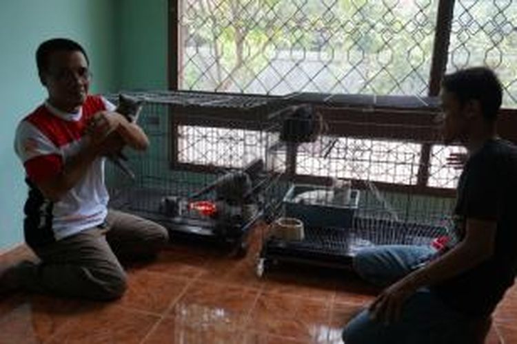 Kartiko dan kucing peliharaannya. Kompas.Com/slamet priyatin