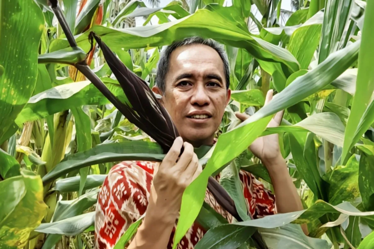 Dosen Fakultas Pertanian (FP) Universitas Lampung (Unila) Dr. Agustiansyah S.P., M.Si., ???????yang melakukan penelitian peningkatan kandungan gizi melalui biofortifikasi agronomi. Bandarlampung, Rabu (29/5/2024).