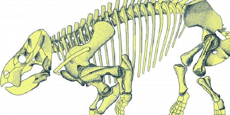 200 Juta Tahun Lalu Ada Kadal Mamalia Yang Seukuran Gajah Halaman All Kompas Com