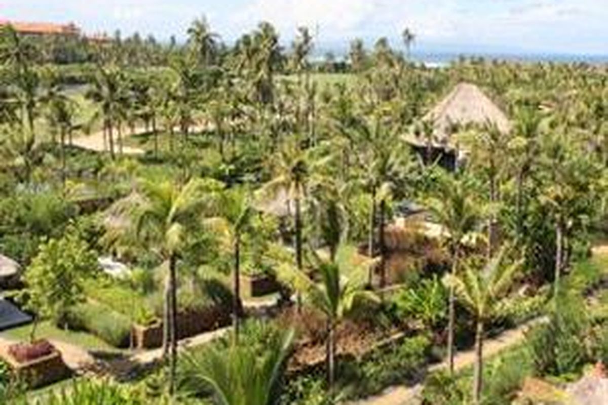 Suasana hijau di St Regis Bali Resort. Bangunan di Bali tidak boleh melebihi tinggi pohon kelapa