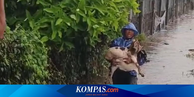 Soroti Banjir di Bali, Ari Dwipayana: Saatnya Gubernur dan Bupati Mulat Sarira, Evaluasi Kebijakan