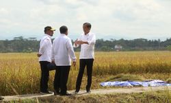 Puncak Panen Raya Usai, Mentan SYL Canangkan Percepatan Penanaman Padi