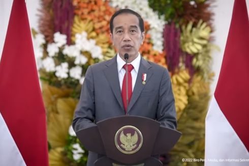 6 Pokok Perbincangan Jokowi dengan Zelensky dan Putin