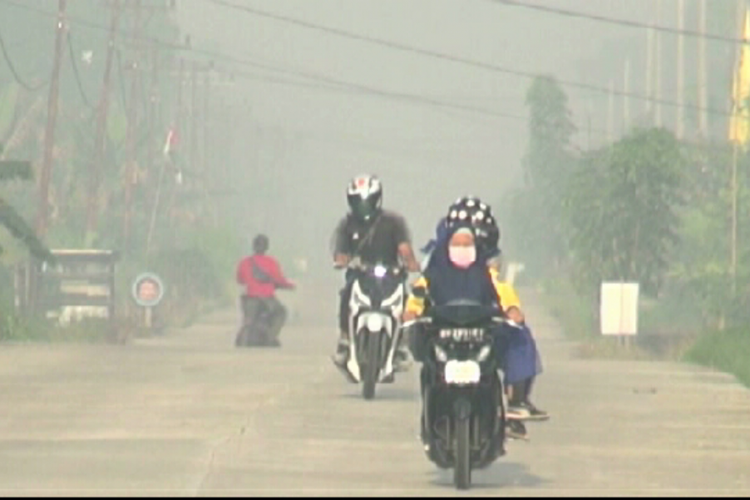 Kabut asap tebal menyelimuti wilayah Kecamatan Rupat, Kabupaten Bengkalis, Riau, Rabu (21/2/2019). Salah seorang pengendara sepeda motor terlihat mengenakan masker saat melintas di jalan.