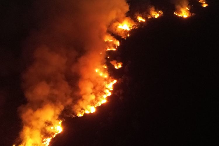 Karhutla di Kutai Kartanegara Meluas hingga 100 Hektare, Api Sulit Dipadamkan karena Lahan Gambut