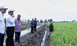 Pengelolaan Air Jadi Kunci Optimalisasi Lahan Rawa