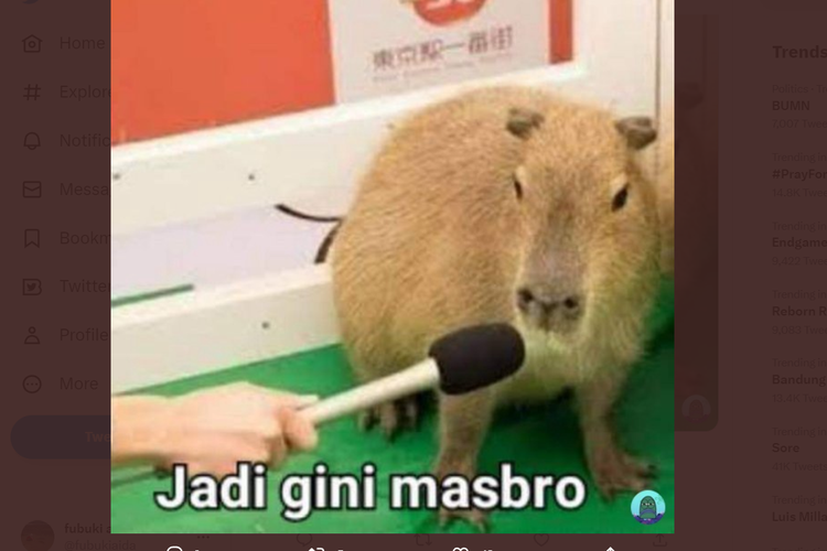 Masbro hewan capybara