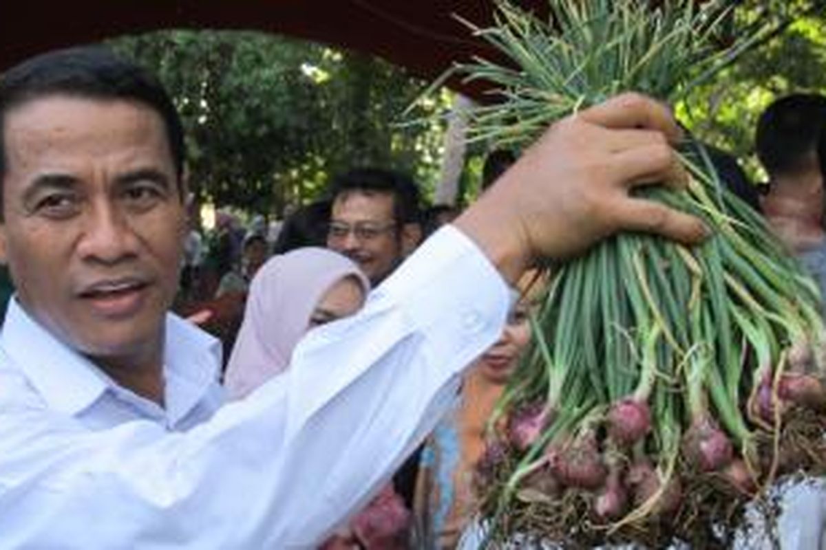 Mentan Andi Amran Sulaiman saat mendampingi kujungan kerja Wakil Presiden Jusuf Kalla di Bone, Sulawesi Selatan, Sabtu (6/6/2015) lalu.