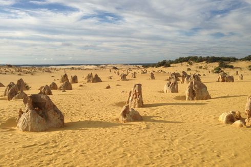 The Pinnacles, Padang Pasir di Perth yang Dipenuhi Ribuan Batu Karang