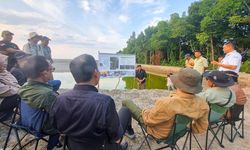 Rehabilitasi Mangrove di Kaltara, Upaya Pemerintah Jaga Pantai dan Bantu Perekonomian Masyarakat