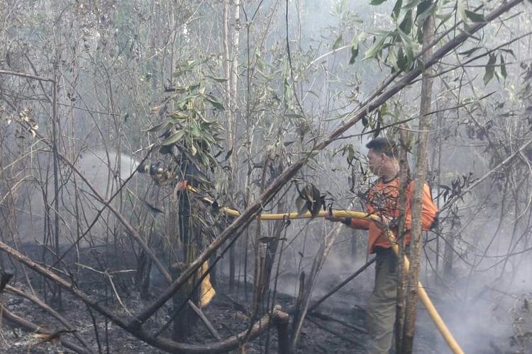 Petugas BPBD Tanah Laut, berusaha memadamkan api dengan menebus hutan Senin (29/7/2019)