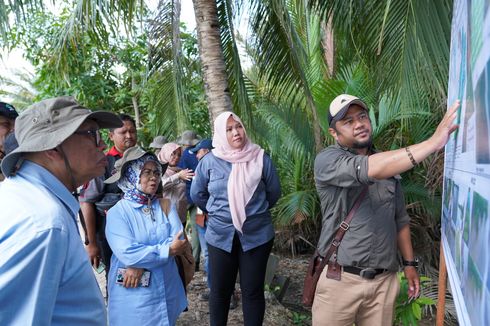Sejahterakan Masyarakat lewat Rehabilitasi Mangrove, Kepala BRGM Ajak PSM Kementerian LHK Kunjungi Kaltim  