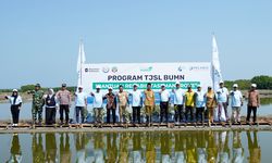 Pelindo Terminal Petikemas Dukung Program Prioritas Jateng, Tanam 50.000 Bibit Mangrove