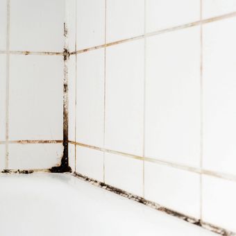 ilustrasi jamur pada lantai keramik di kamar mandi