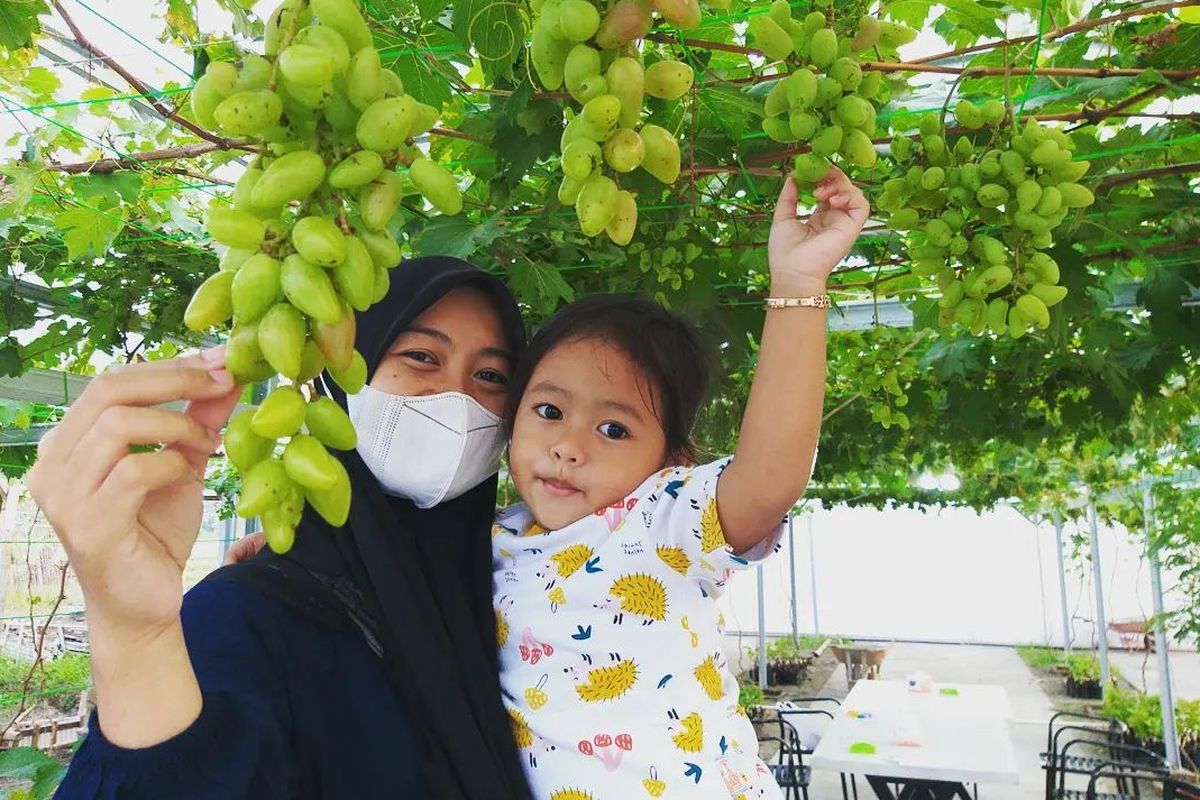 Warga mengunjungi Dusun Sabin @dusunsabin yang berarti dusun yang terletak di tengah persawahan di Desa Megulungkidul, Pituruh, Purworejo, Jawa Tengah. Oleh pihak bumdes, tempat tersebut kemudian dijadikan kafe yang dilengkapi gazebo dan taman anggur.