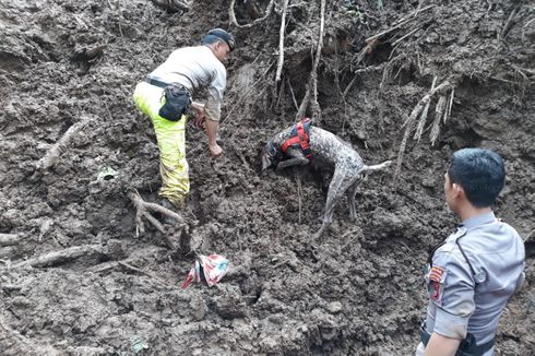 Anjing Pelacak Endus 3 Jenazah Tertimbun, Korban Longsor dan Banjir Gowa Jadi 29 Orang